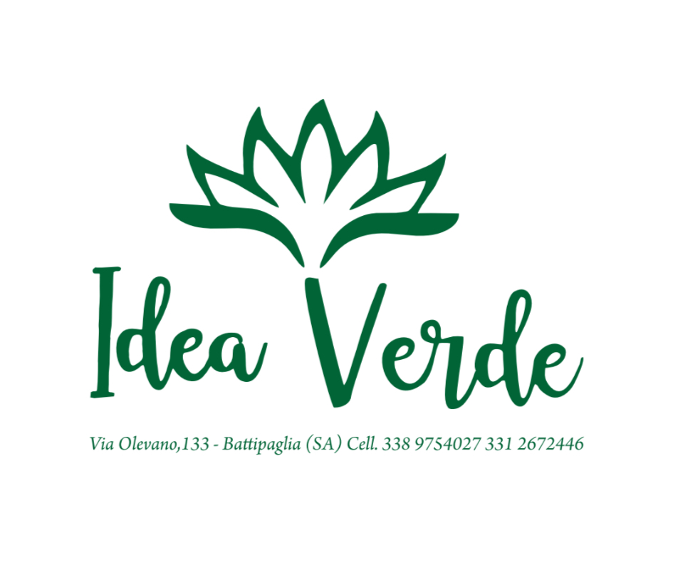 🌿💐 Idea Verde – L’arte dei fiori al servizio delle emozioni  Idea Verde è un punto di riferimento nel mondo floreale a Battipaglia, un negozio in cui ogni fiore diventa un’emozione, ogni composizione un racconto, ogni dettaglio un gesto di cura. Specializzato in addobbi, bouquet, creazioni personalizzate e allestimenti per eventi, Idea Verde trasforma ogni occasione in un momento unico, unendo creatività, raffinatezza e una profonda conoscenza del linguaggio dei fiori.  La loro filosofia è semplice: raccontare sentimenti attraverso la bellezza della natura. Ed è la stessa bellezza che oggi si unisce alla nostra passione giallo-blu: Idea Verde entra infatti a far parte della famiglia Atletico Albanella come Official Sponsor, condividendo con noi valori come armonia, dedizione e amore per il territorio.  💛💙 Con Idea Verde al nostro fianco, ogni sfida diventa un seme da coltivare e ogni traguardo un fiore che sboccia.  📍 SP29a, 133 – 84091 Battipaglia (SA) 📞 331 267 2446  Idea Verde – dove ogni fiore diventa un’emozione.